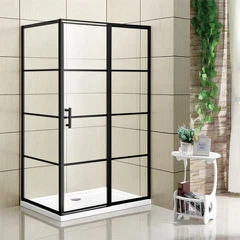 Душові двері